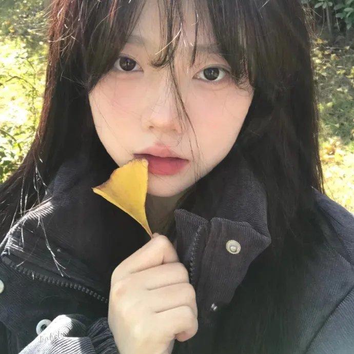 腌黄瓜先生第一季